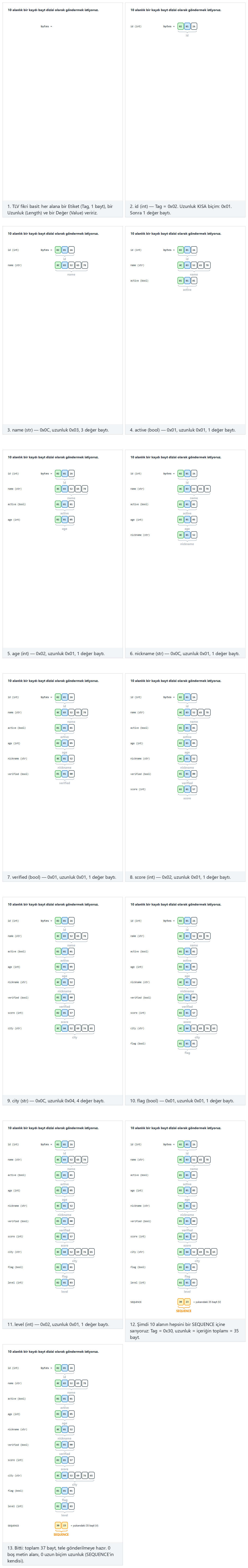 TLV encoding: SEQUENCE of name and age — step by step