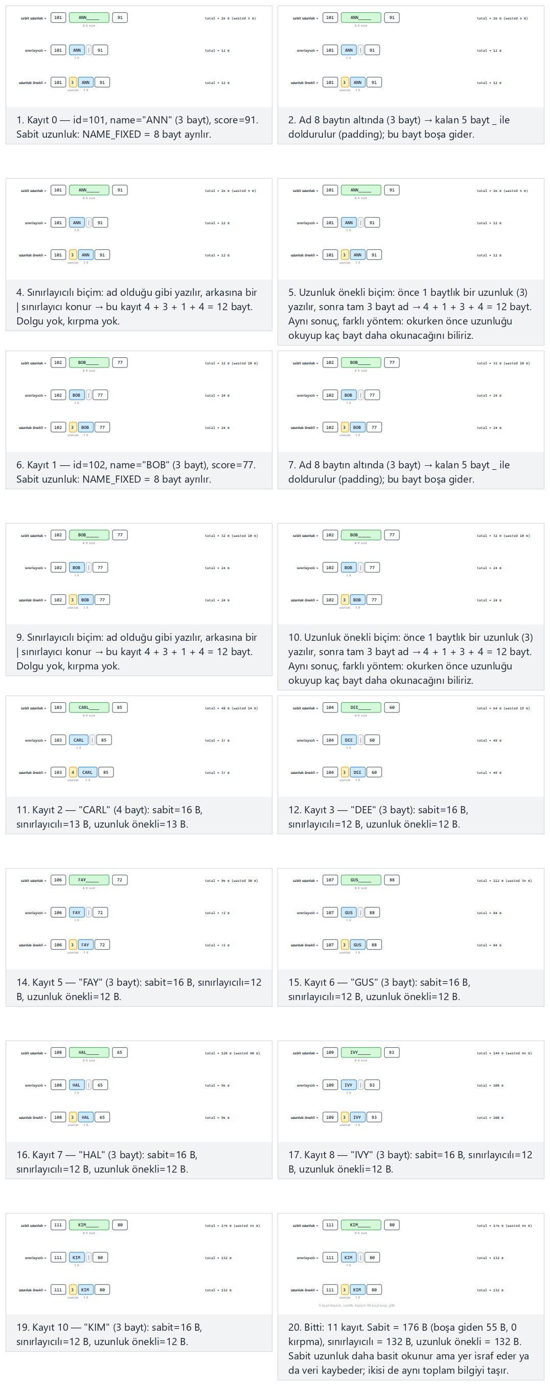 Records and fields — step by step