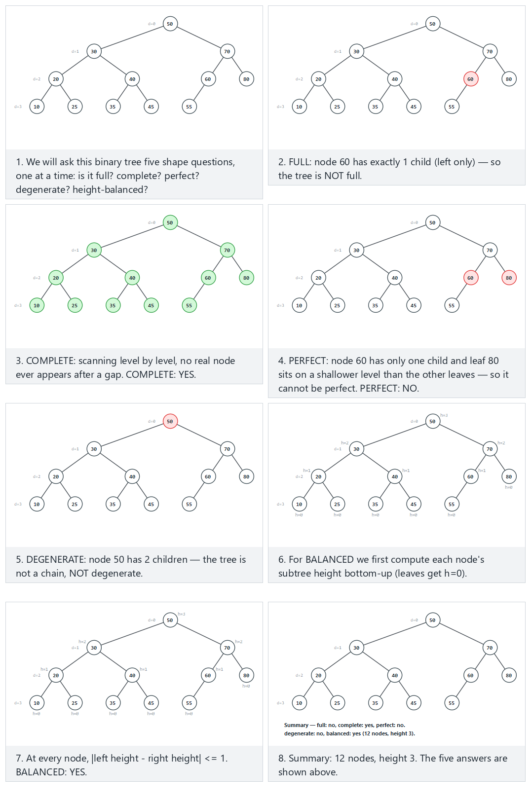 Binary tree shapes: full, complete, perfect, degenerate, balanced — step by step