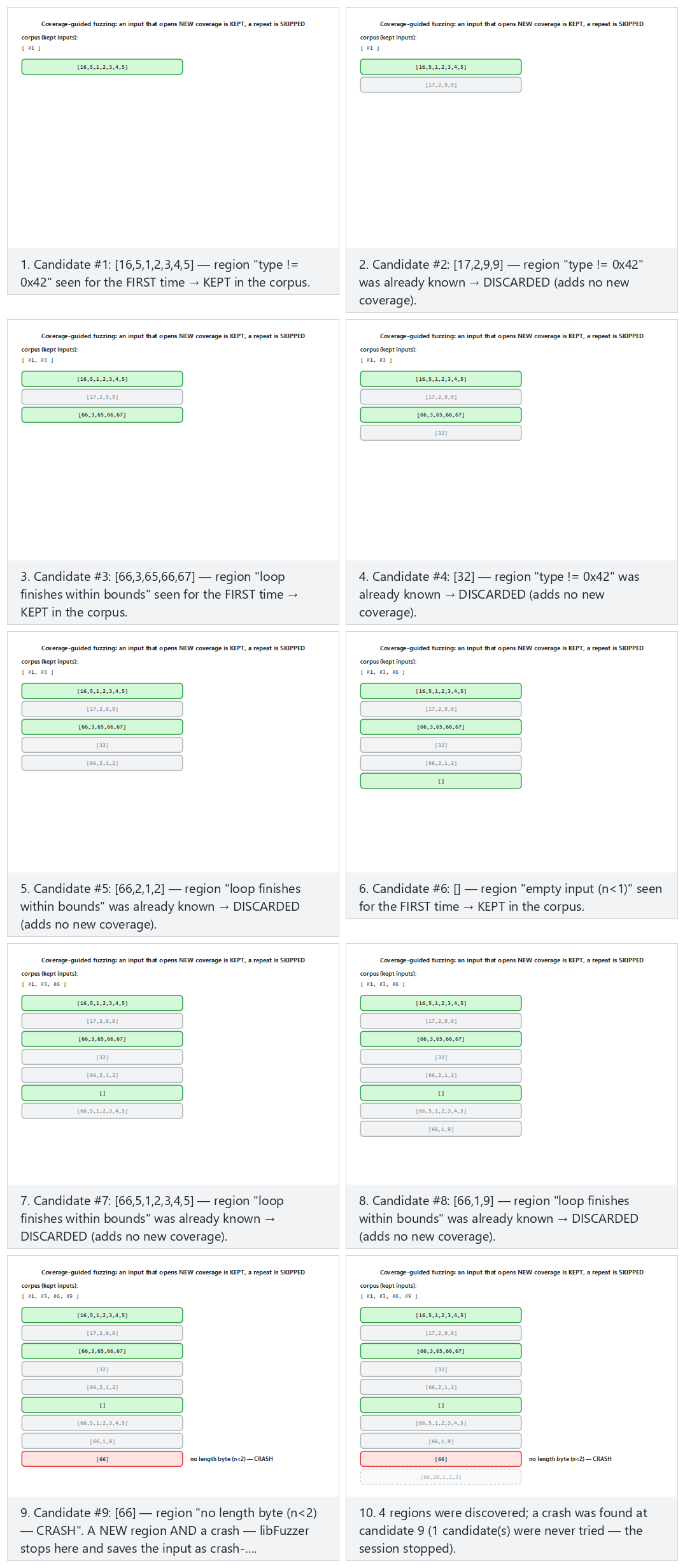 Coverage-guided fuzzing loop — step by step