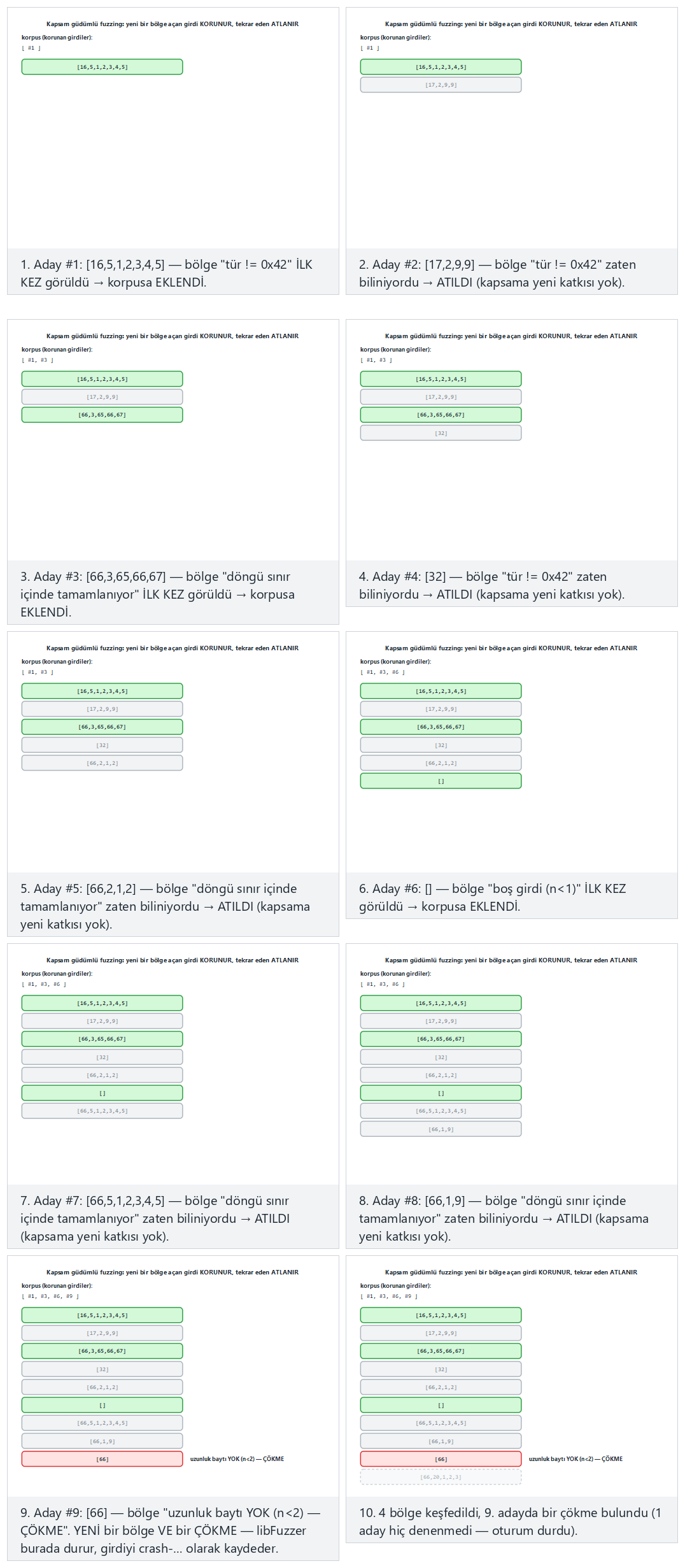 Kapsam güdümlü fuzzing döngüsü — adım adım